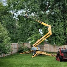 Best Lawn Maintenance Plans  in Suffolk, VA