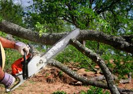 Best Lawn Irrigation Installation and Maintenance  in Suffolk, VA