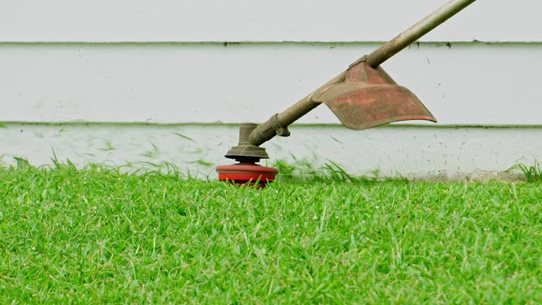 Best Tree Mulching  in Suffolk, VA
