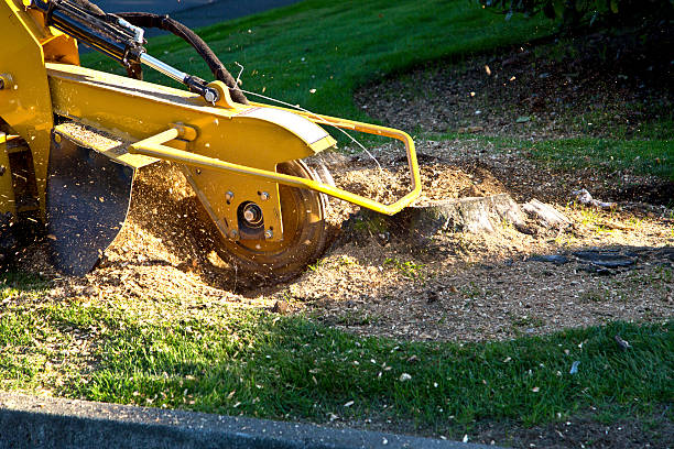 Artificial Turf Installation in Suffolk, VA