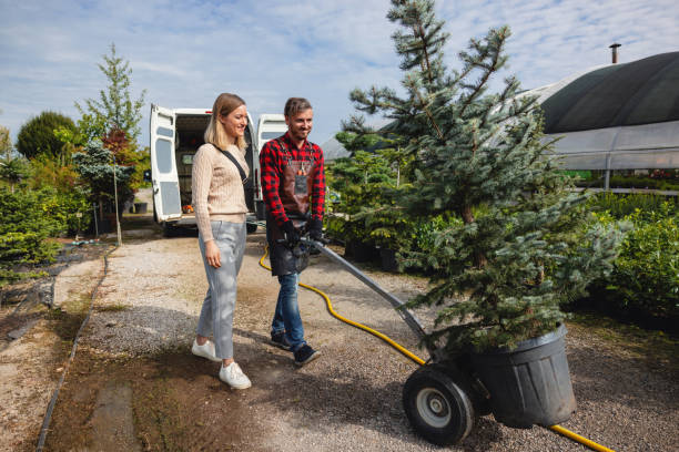 Best Palm Tree Trimming  in Suffolk, VA